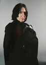 sevfilmspdapersoseverussnape006.jpg
