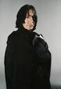 sevfilmspdapersoseverussnape009.jpg