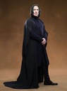 sevfilmsodppersoseverussnape001.jpg