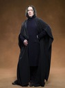 sevfilmsodppersoseverussnape002.jpg