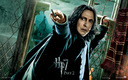 sevfilmsrdmp2affiche005.jpg
